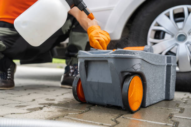 Best Tree Disease Treatment  in Chevy Chase, MD